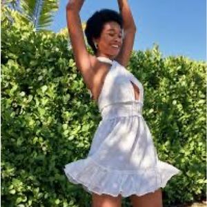 Aerie Spring Fling Dress